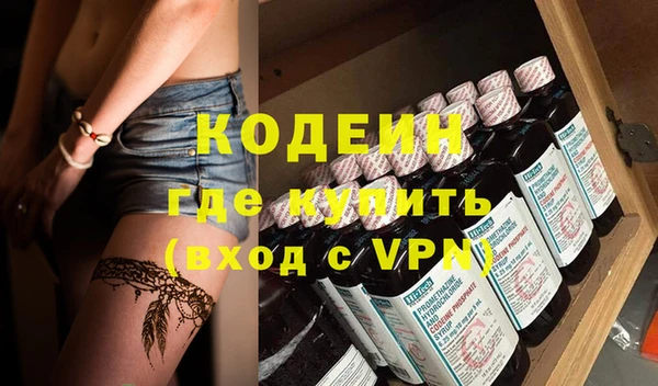 молекула духа Новозыбков