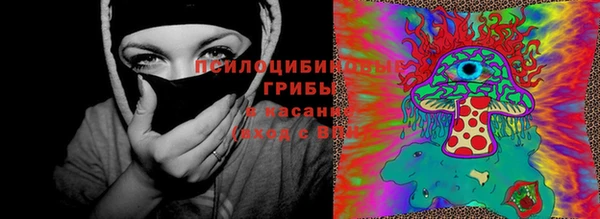 дживик Аркадак