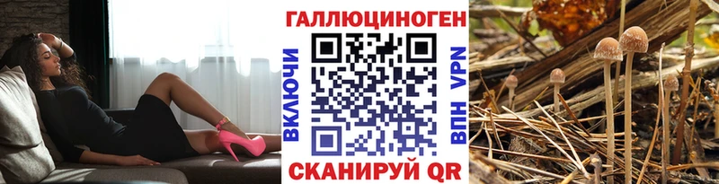 Псилоцибиновые грибы MAGIC MUSHROOMS  наркотики  ОМГ ОМГ рабочий сайт  Сухой Лог 